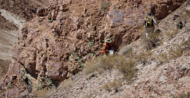 Figure 4. Green copper oxide minerals exposed in outcrops at the Atravezado target area.